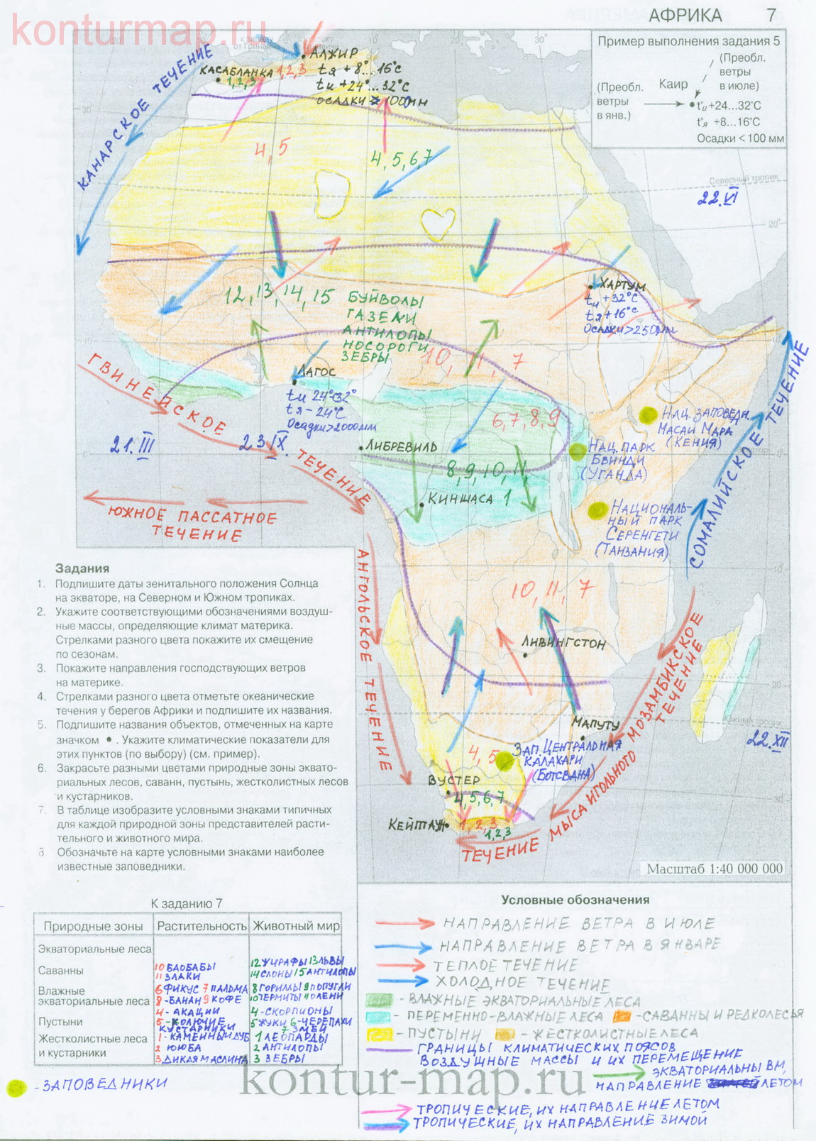 Контурная карта африки с заданиями для 7 класса