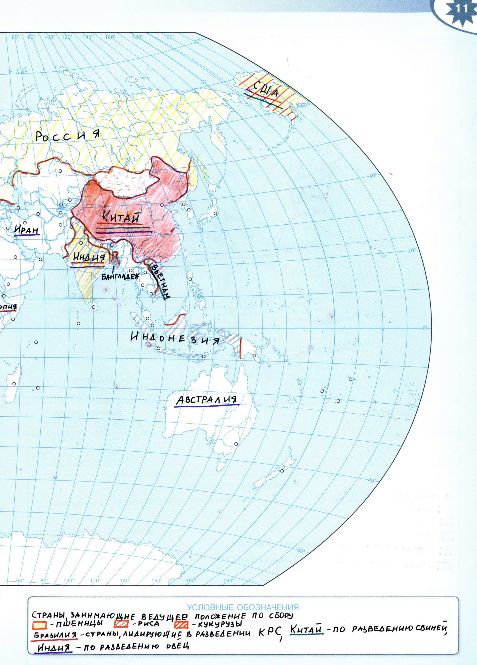 ГДЗ Сельское хозяйство мира готовая контурная карта 10 класс география -Решебник