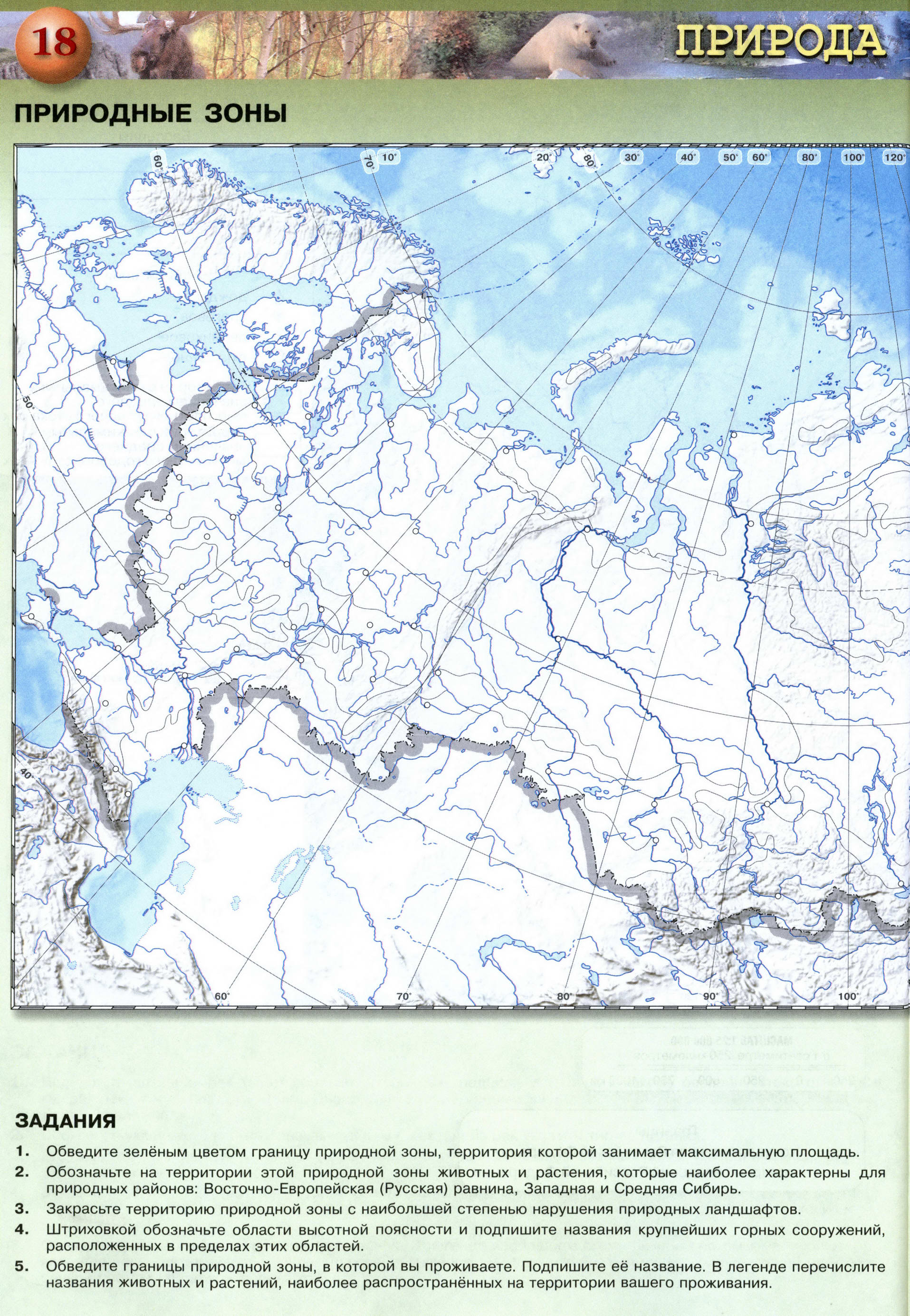Природные зоны России контурная карта 8 класс Сферы скачать бесплатнораспечатать - Решебник