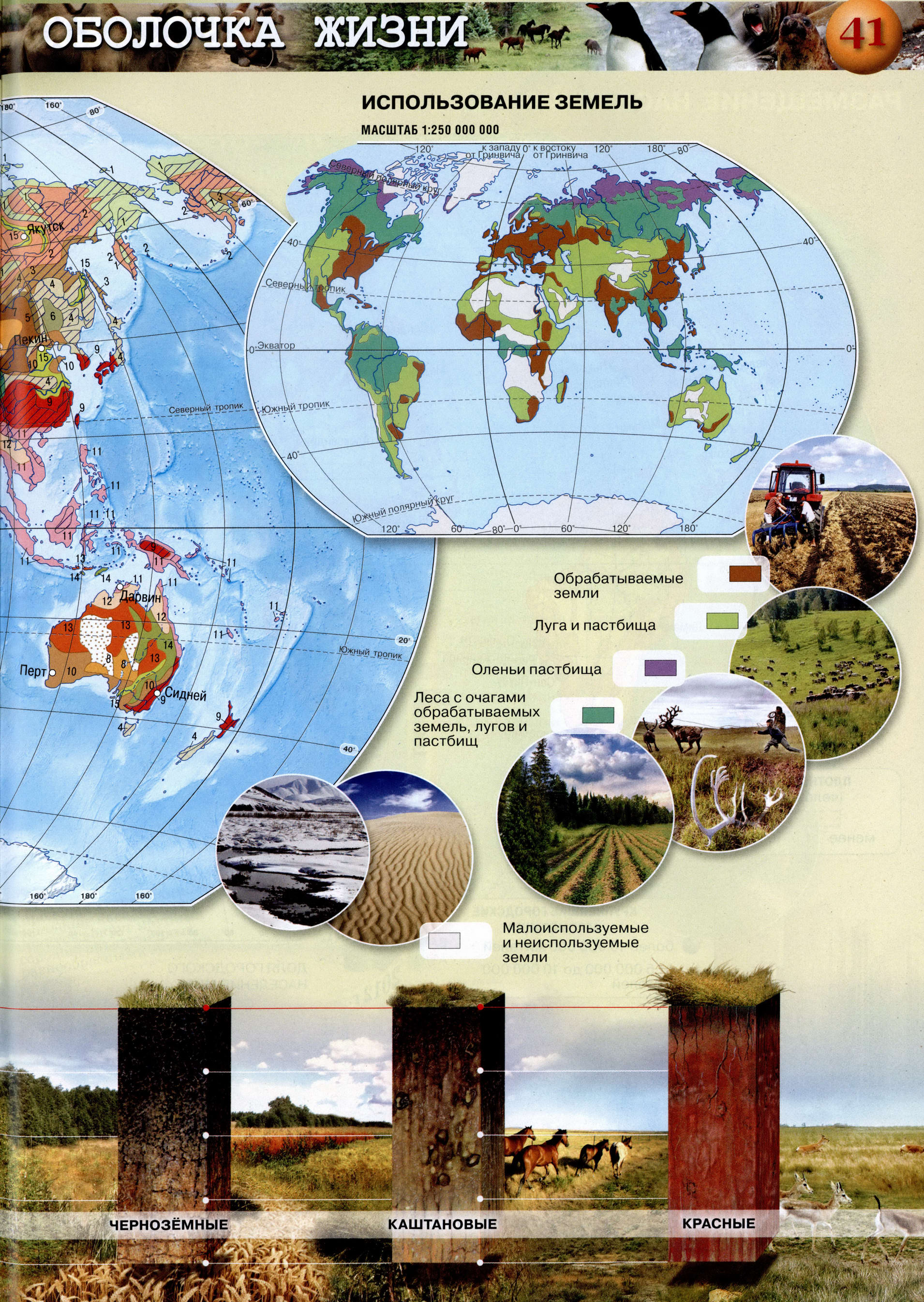 Почвы Использование земель - Атлас 5-6 класс география Сферы