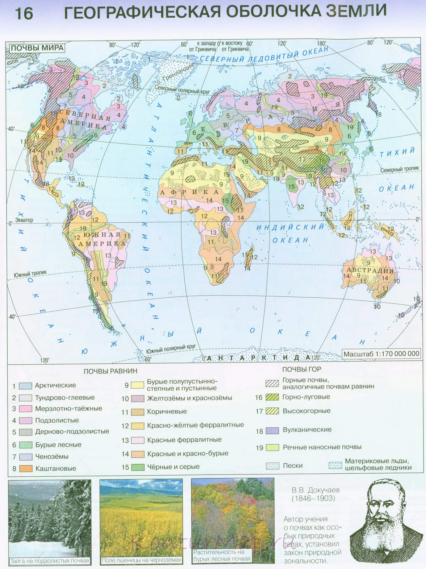 Почвы мира 17