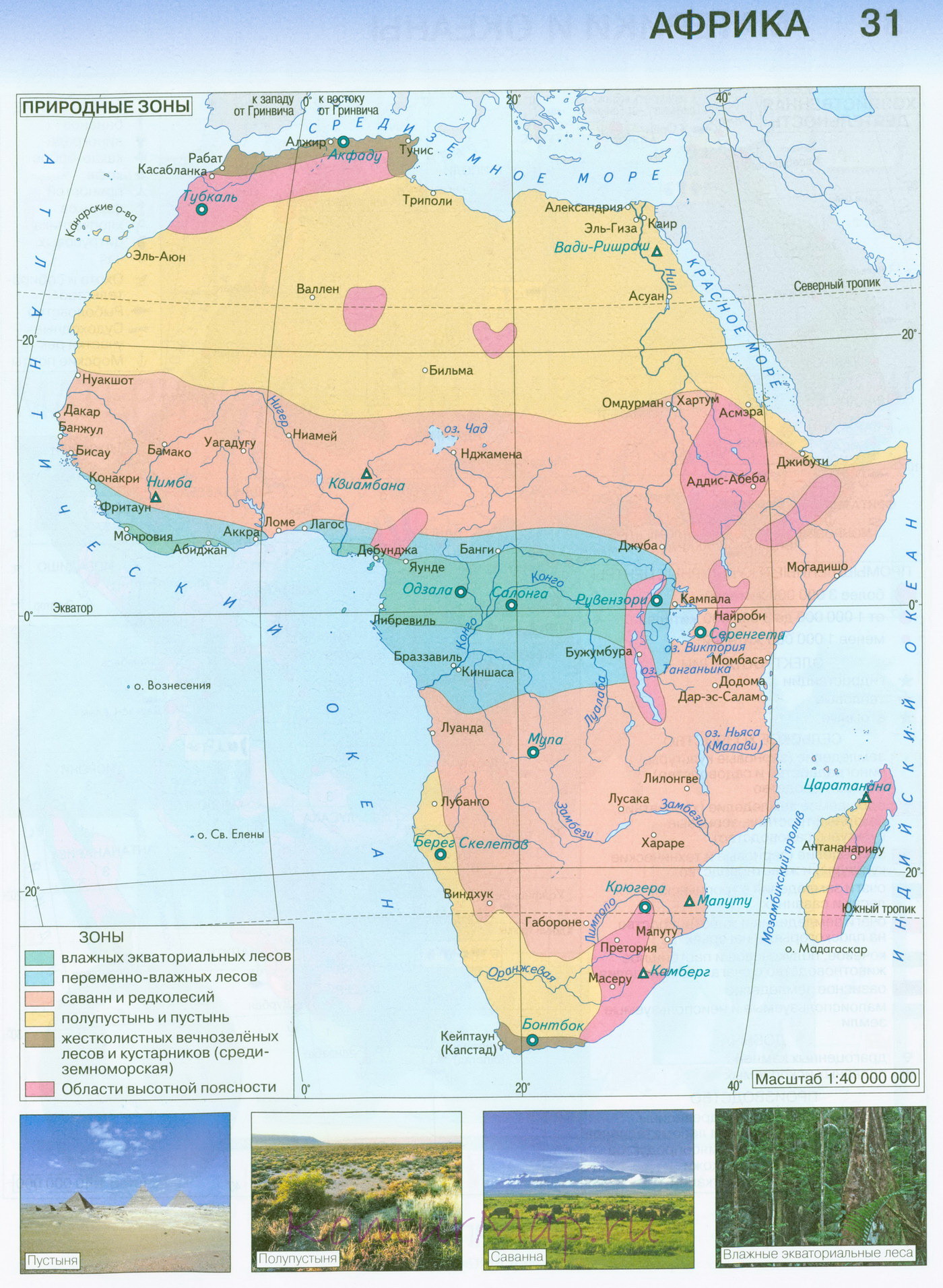 Контурная карта по географии 10 11 класс африка готовая
