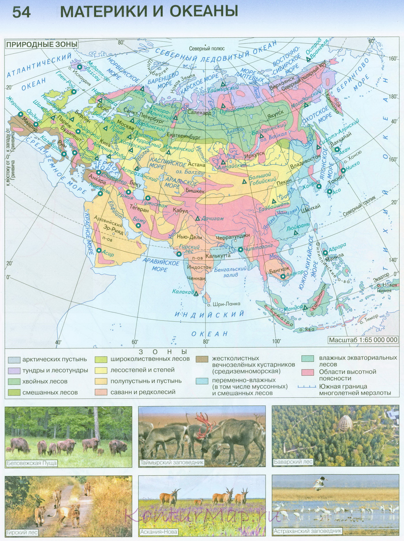 Природные зоны Евразии 54