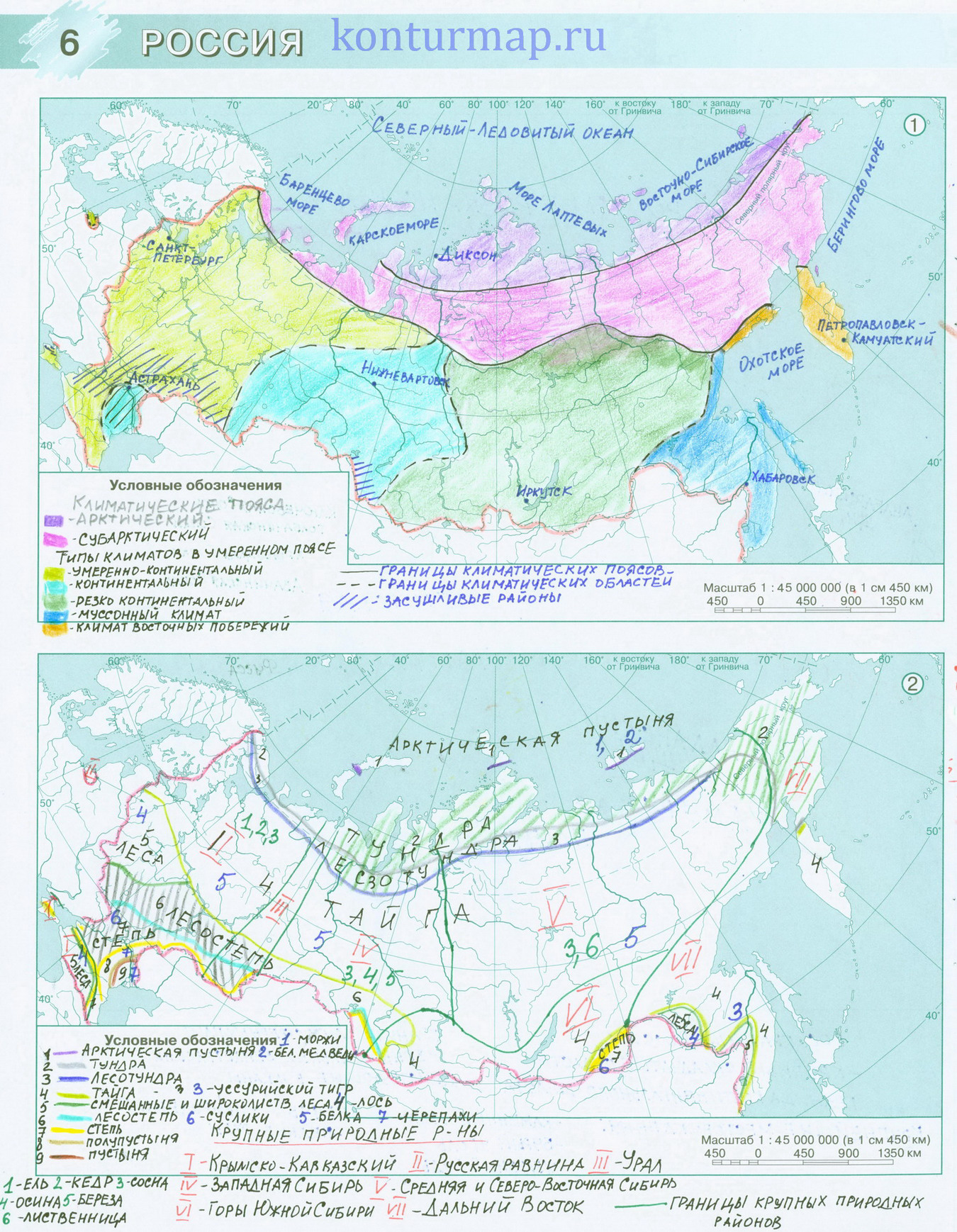 География 8 класс контурная карта раковская гдз